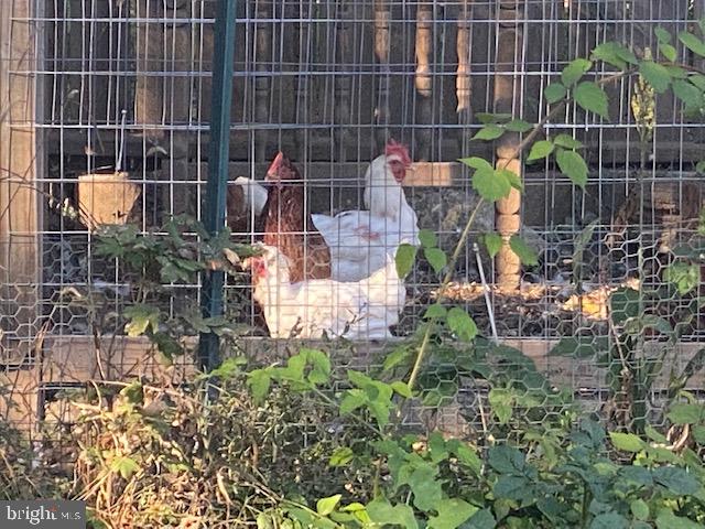 MECHANICSBURG BOROUGH - Residential