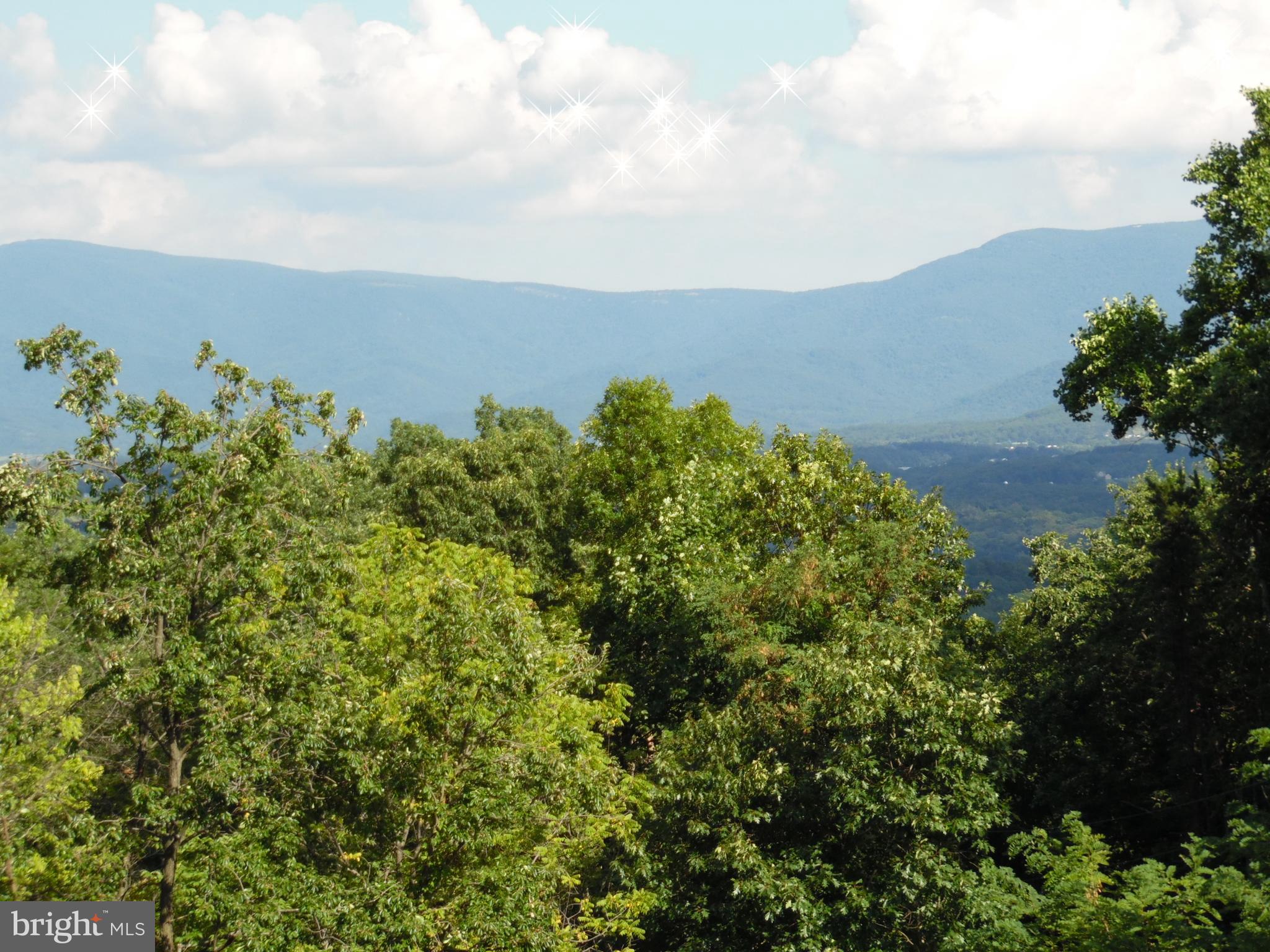 BATTLE CREEK FOREST - Residential