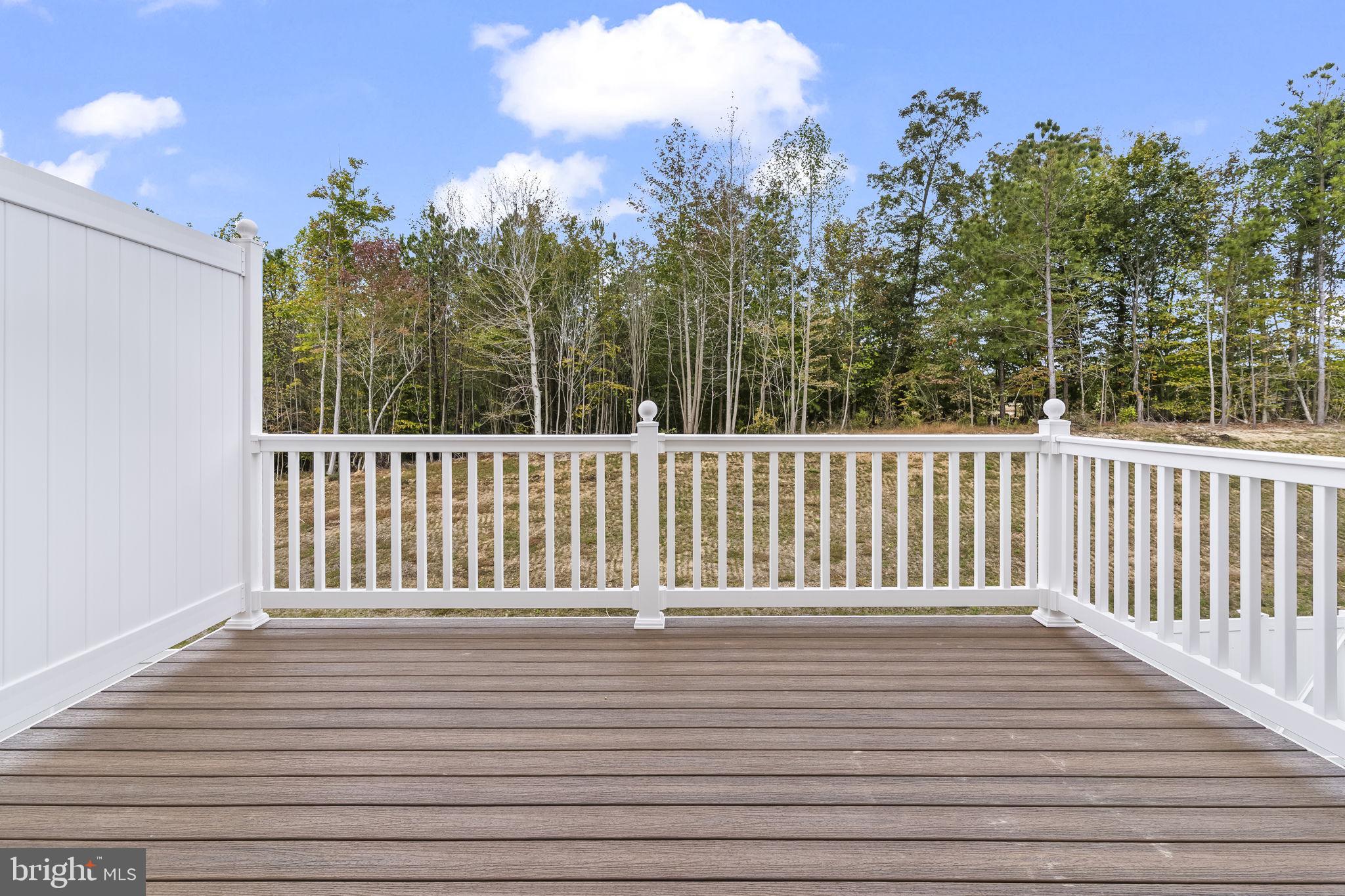 MEADOWS AT TOWN RUN II - Residential