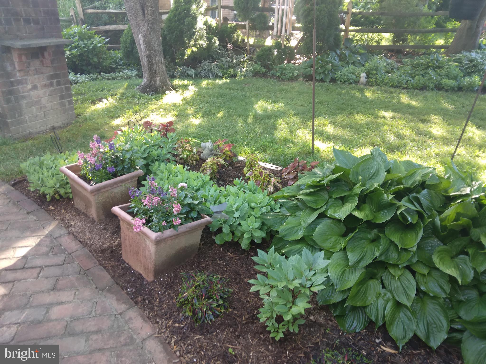 WHETSTONE - Residential