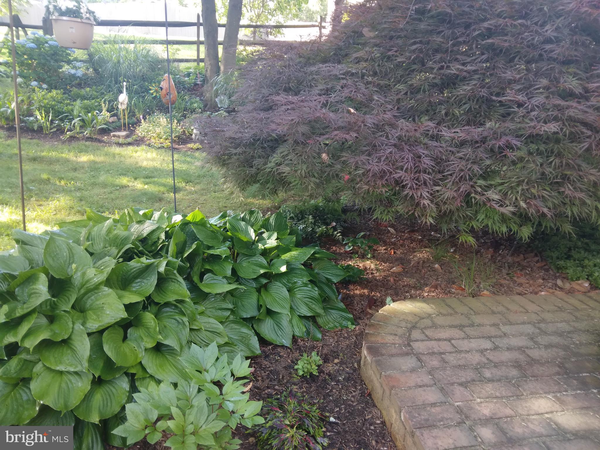 WHETSTONE - Residential