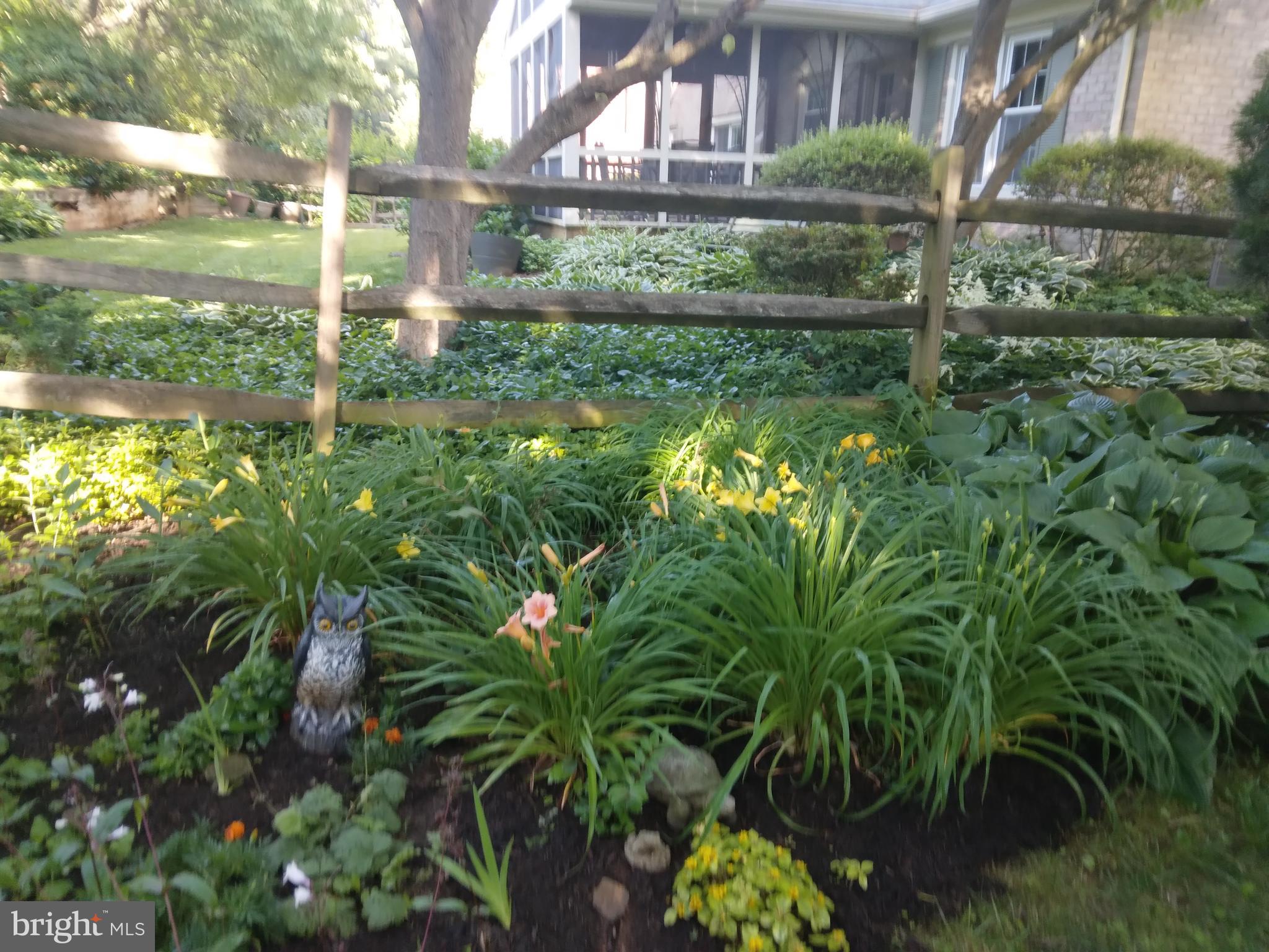 WHETSTONE - Residential