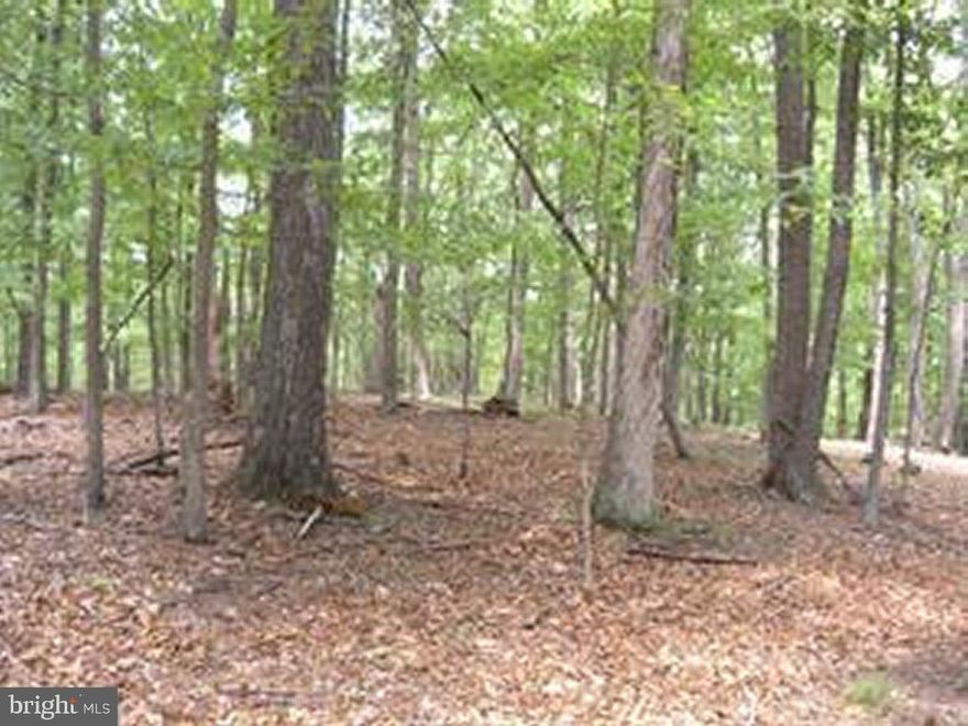 5.25 acres within the community of Ritters Hidden Valley.  Minimal covenants & restrictions, annual dues ($400) allow for road maintenance and upkeep of the community amenities (fishing lake, swimming lake with beach, picnic area and playground, tennis court).  Hunting is allowed on your lot as is ATV riding (with respect) on the community roads.  This is an all wooded lot surrounded by similar lots and lot sizes.  Private area of the community at the top of the mountain.  Nice drive out in the county, clean subdivision, owners /neighbors maintain their properties very well.  Treat your friends and family; can enjoy in all seasons.  Buy  for the recreation now.; build that weekend cabin later.  2 hours from the DC Beltway.  1/2 hour from Winchester, VA.   Really a beautiful lot that you need to see to appreciate what is offered here in wild, wonderful West Virginia.