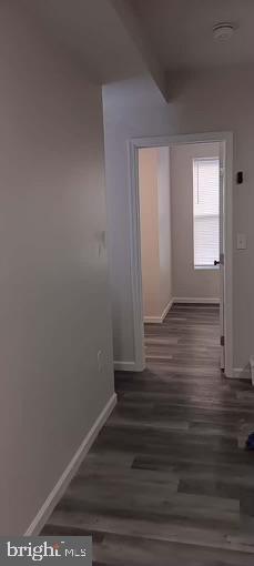 PATTERSON PARK - Commercial Sale