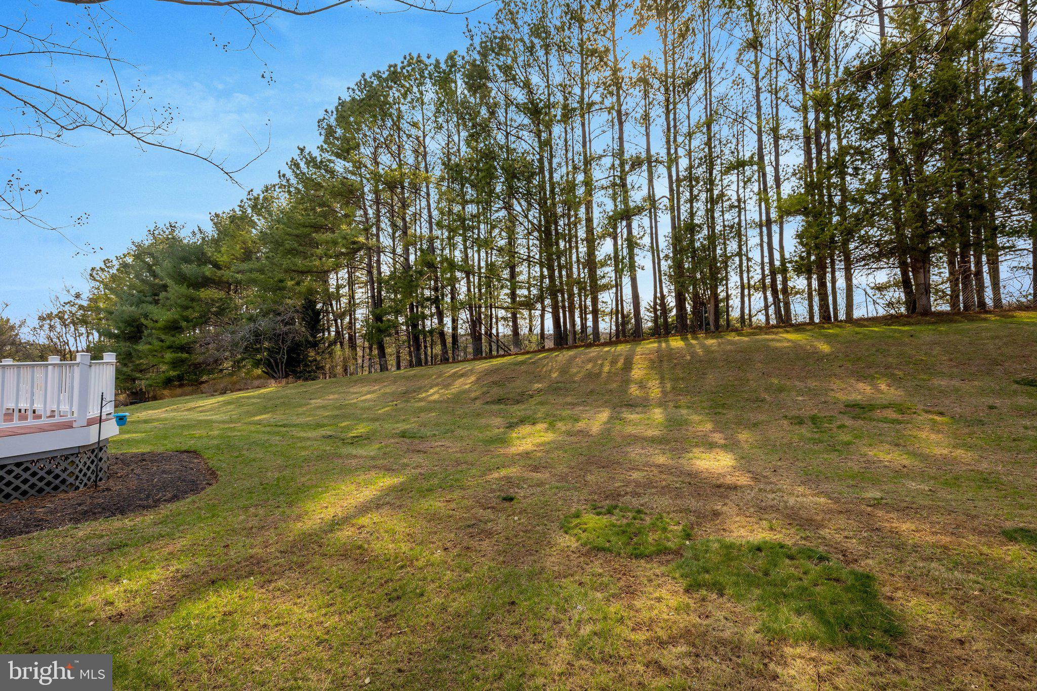 LAKE FAIRFAX ESTATES - Residential