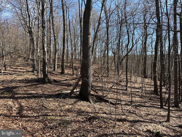 NEW CREEK HIGHLANDS - Land