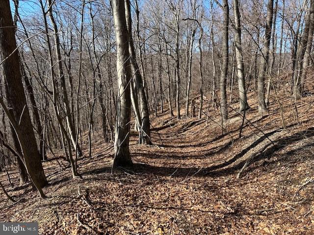 NEW CREEK HIGHLANDS - Land