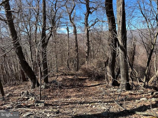 NEW CREEK HIGHLANDS - Land