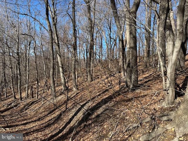 NEW CREEK HIGHLANDS - Land