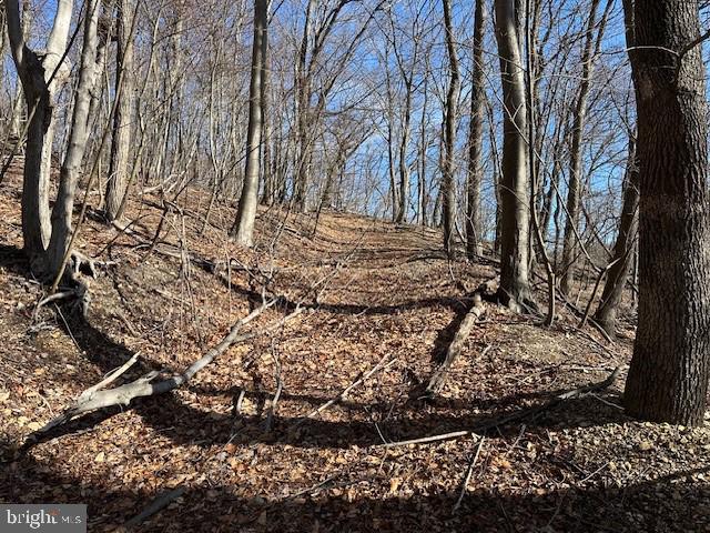 NEW CREEK HIGHLANDS - Land