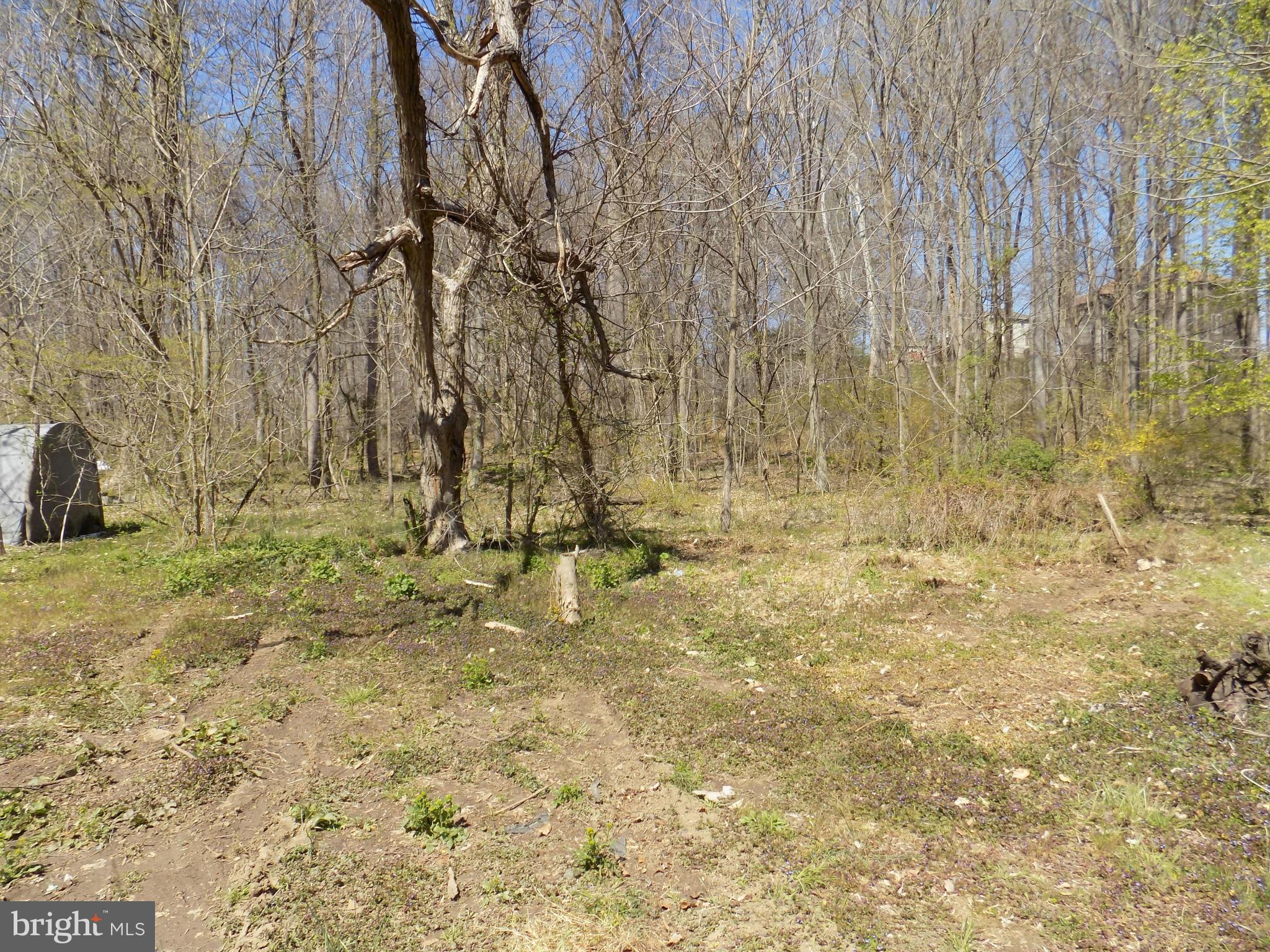 WOODSTOCK - Residential