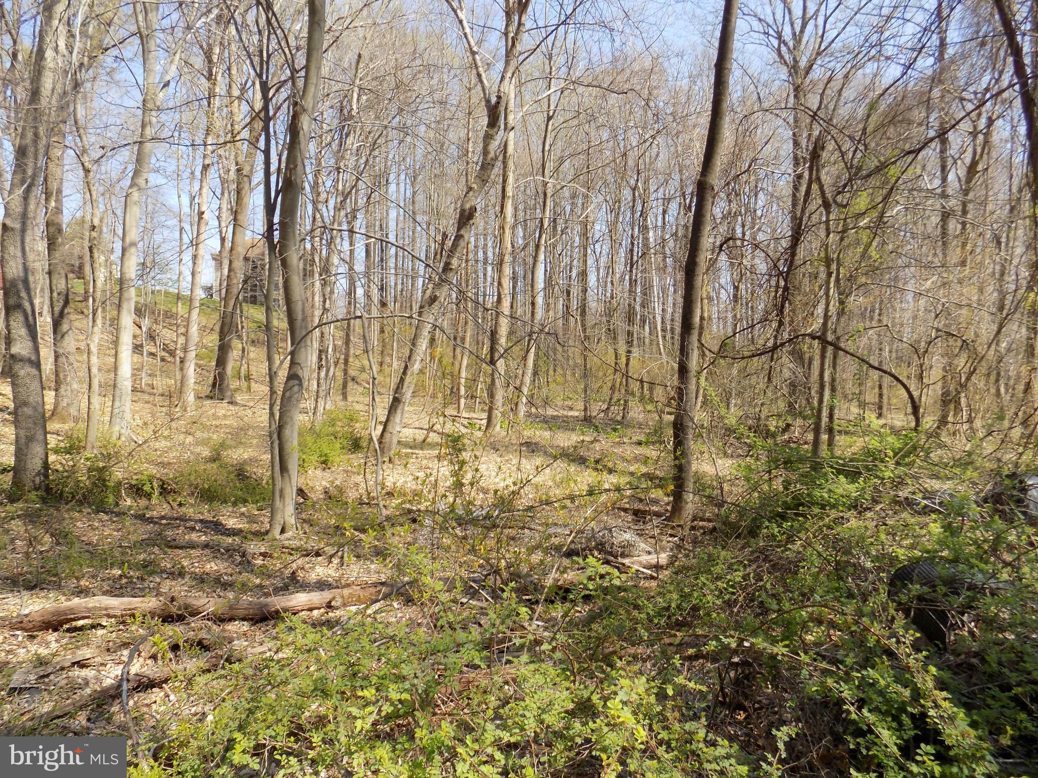 WOODSTOCK - Residential