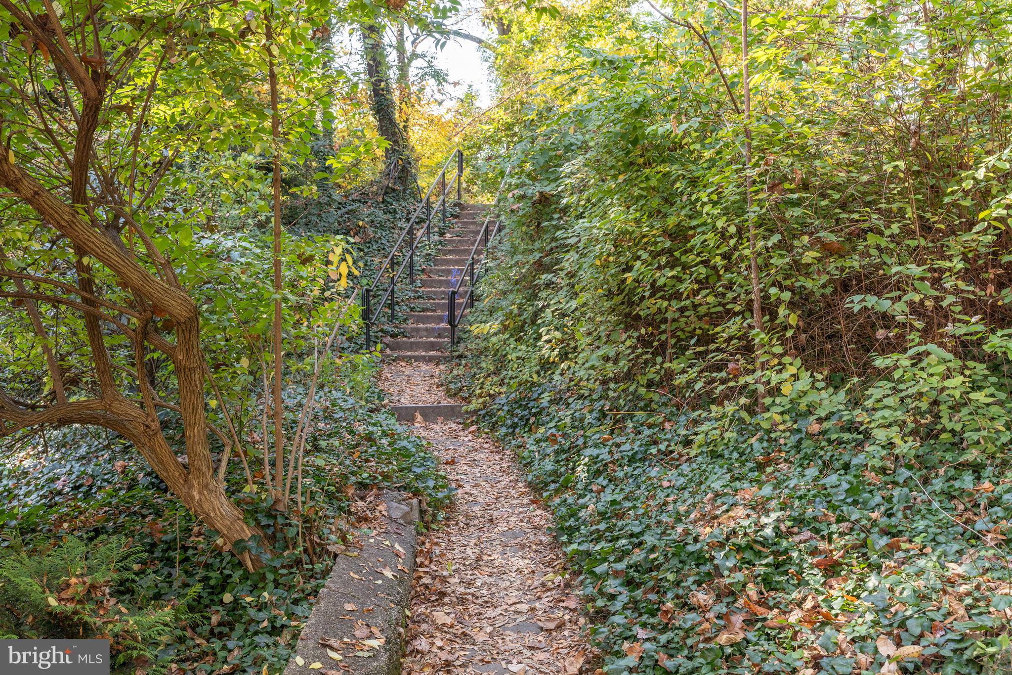 NORTH CLEVELAND PARK - Residential