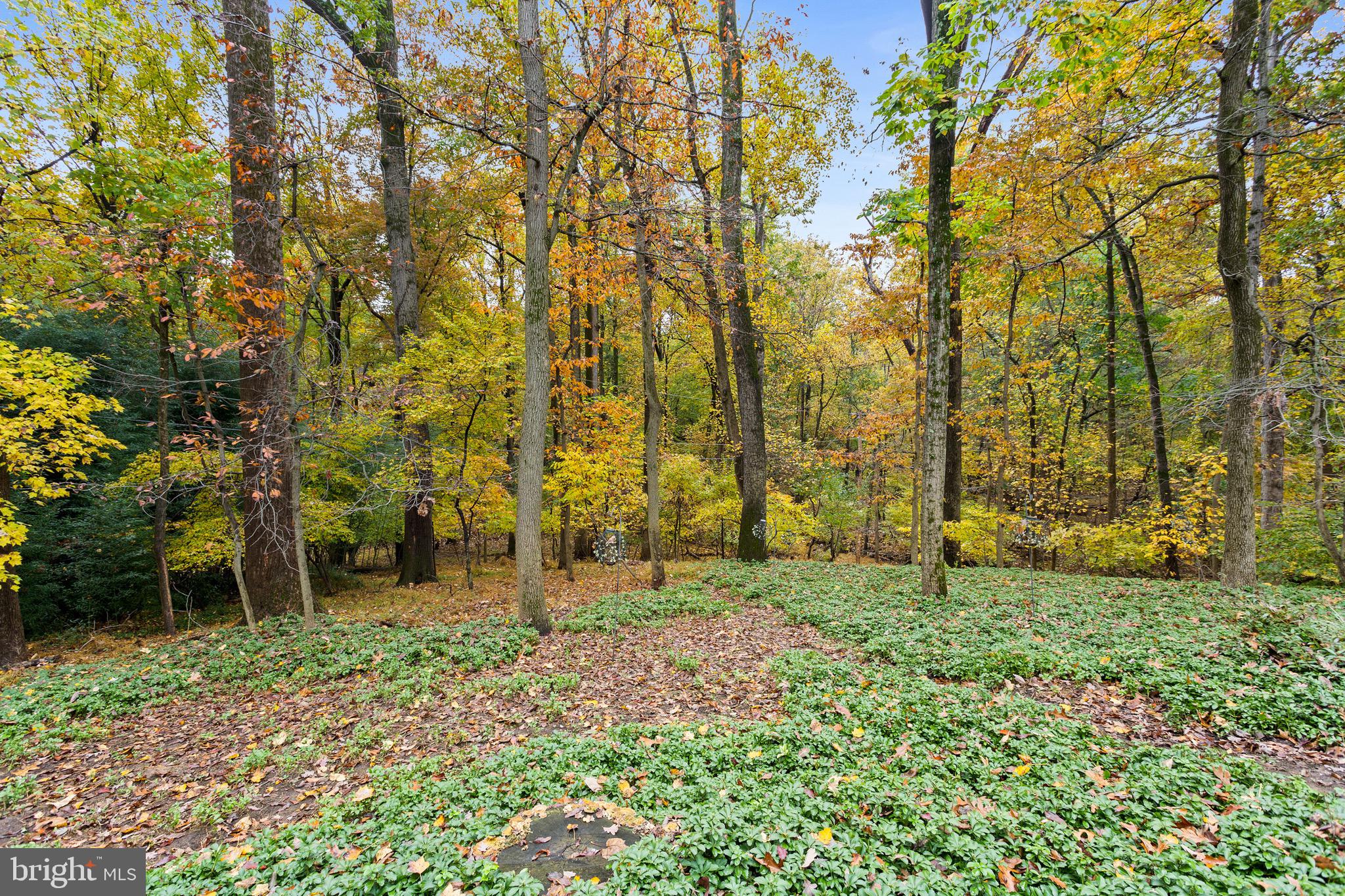 VALLEY WOOD - Residential