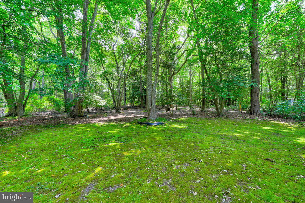 OCEAN PINES - SHERWOOD FOREST - Residential