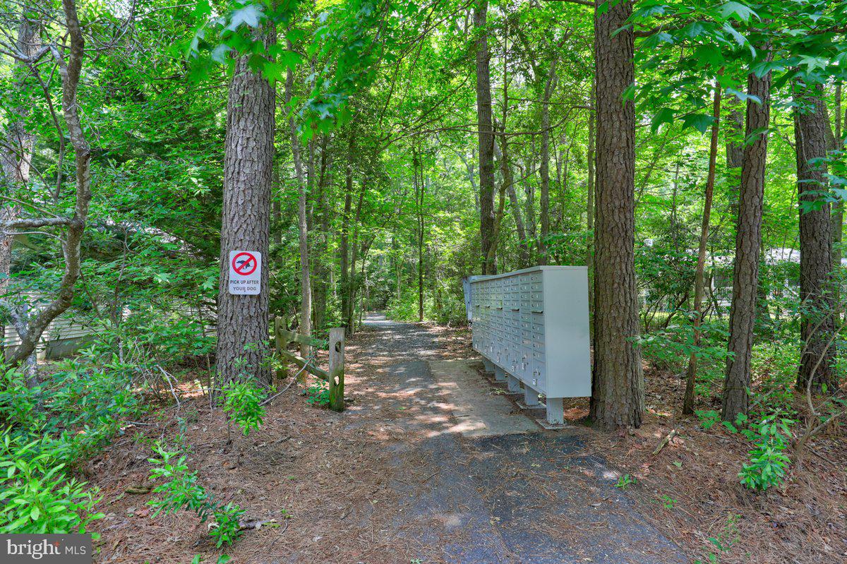 OCEAN PINES - SHERWOOD FOREST - Residential