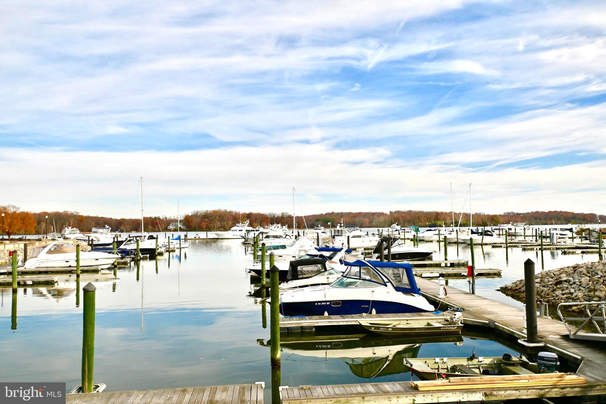 BELMONT BAY - Residential Lease