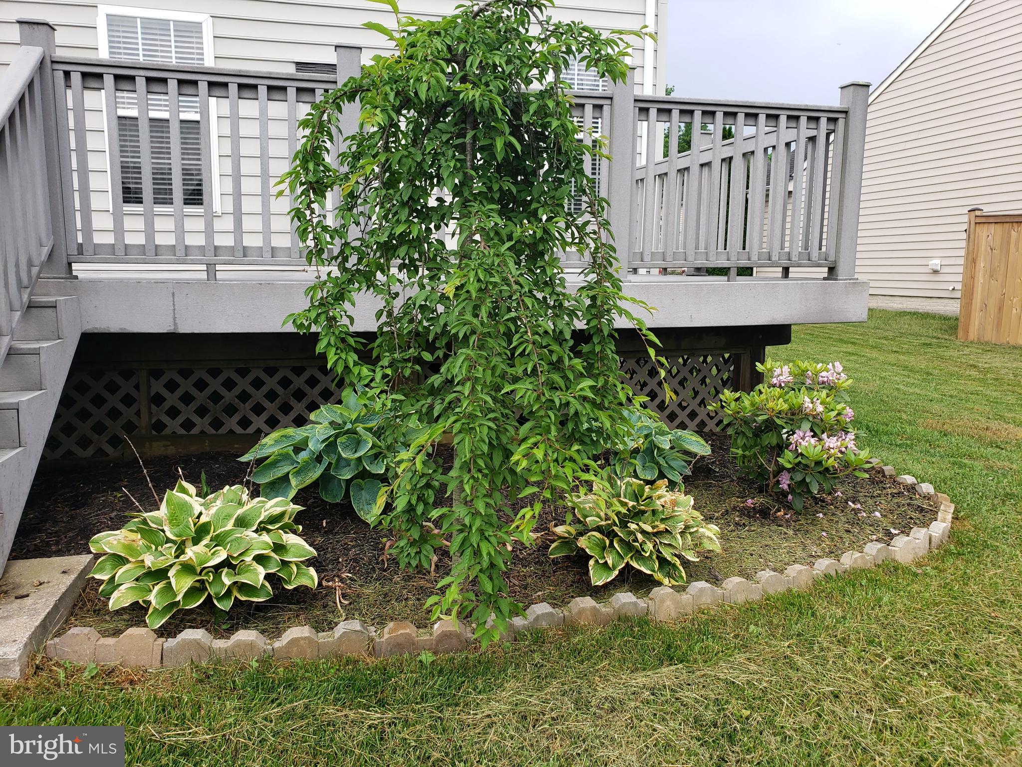 THREE FLAGS - Residential