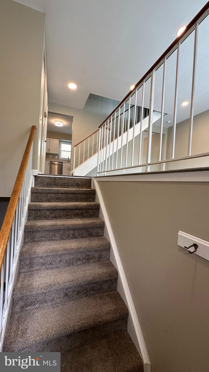 PRINCETON SQUARE - Residential Lease