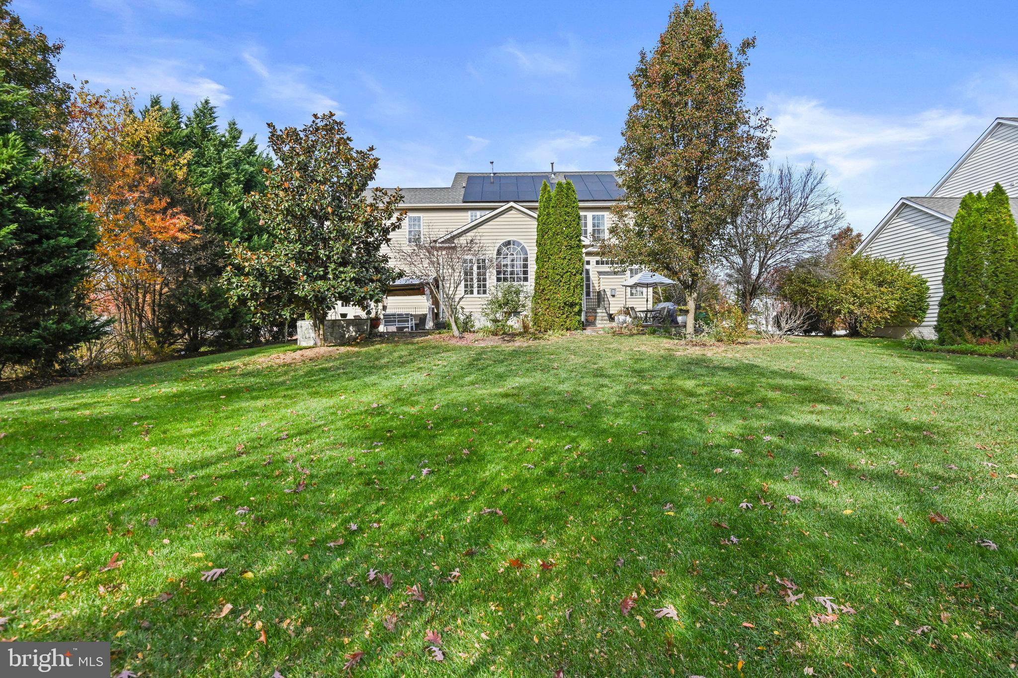 BELMONT GREENE - Residential Lease