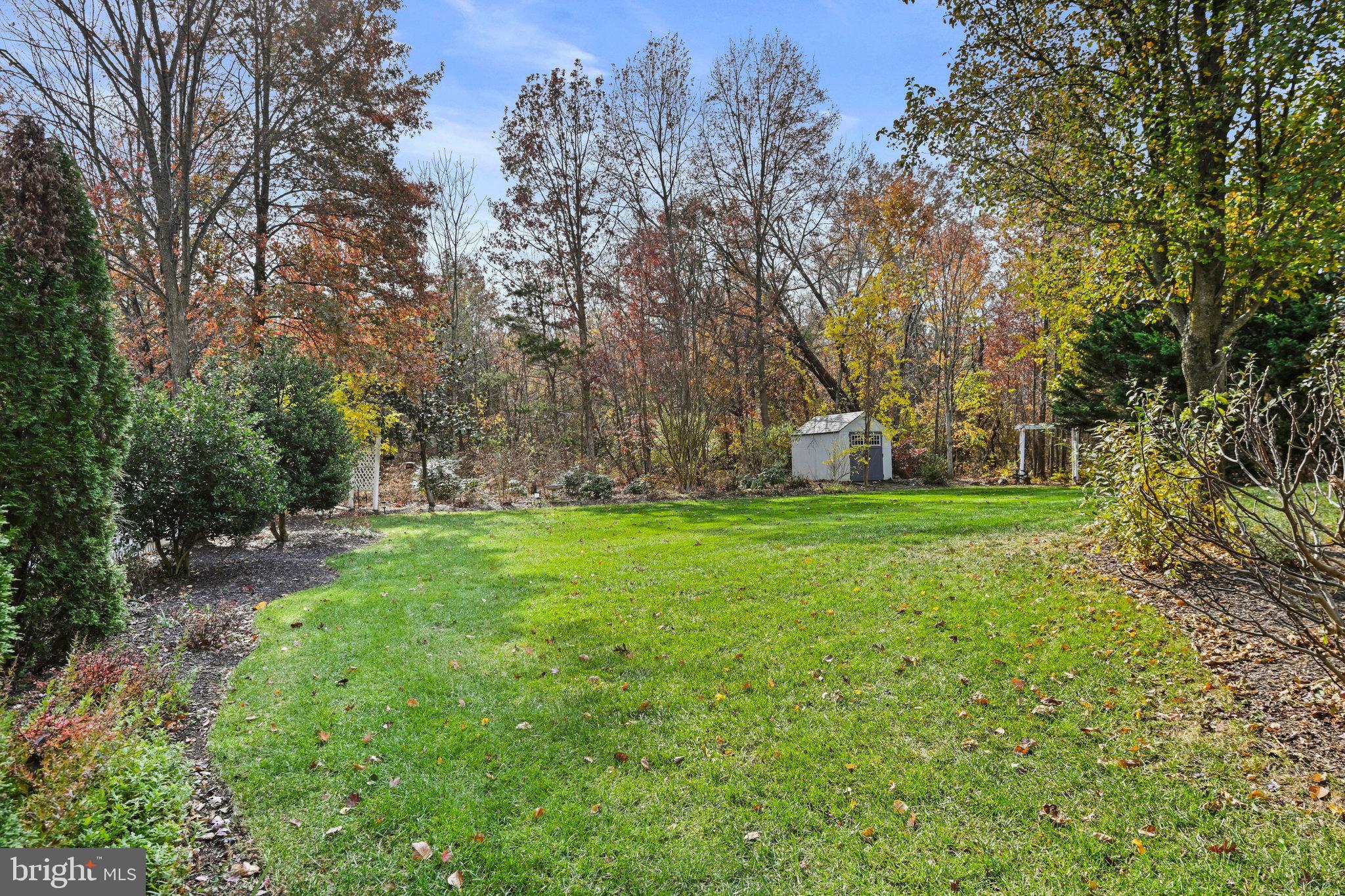 BELMONT GREENE - Residential Lease