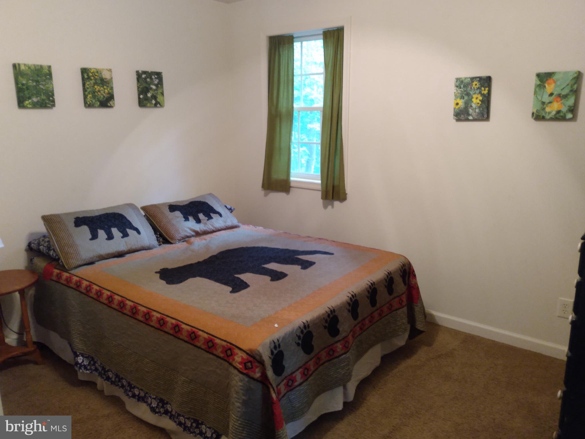 CACAPON RIVER COLONY - Residential