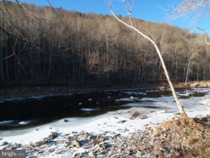 CACAPON RIVER COLONY - Residential