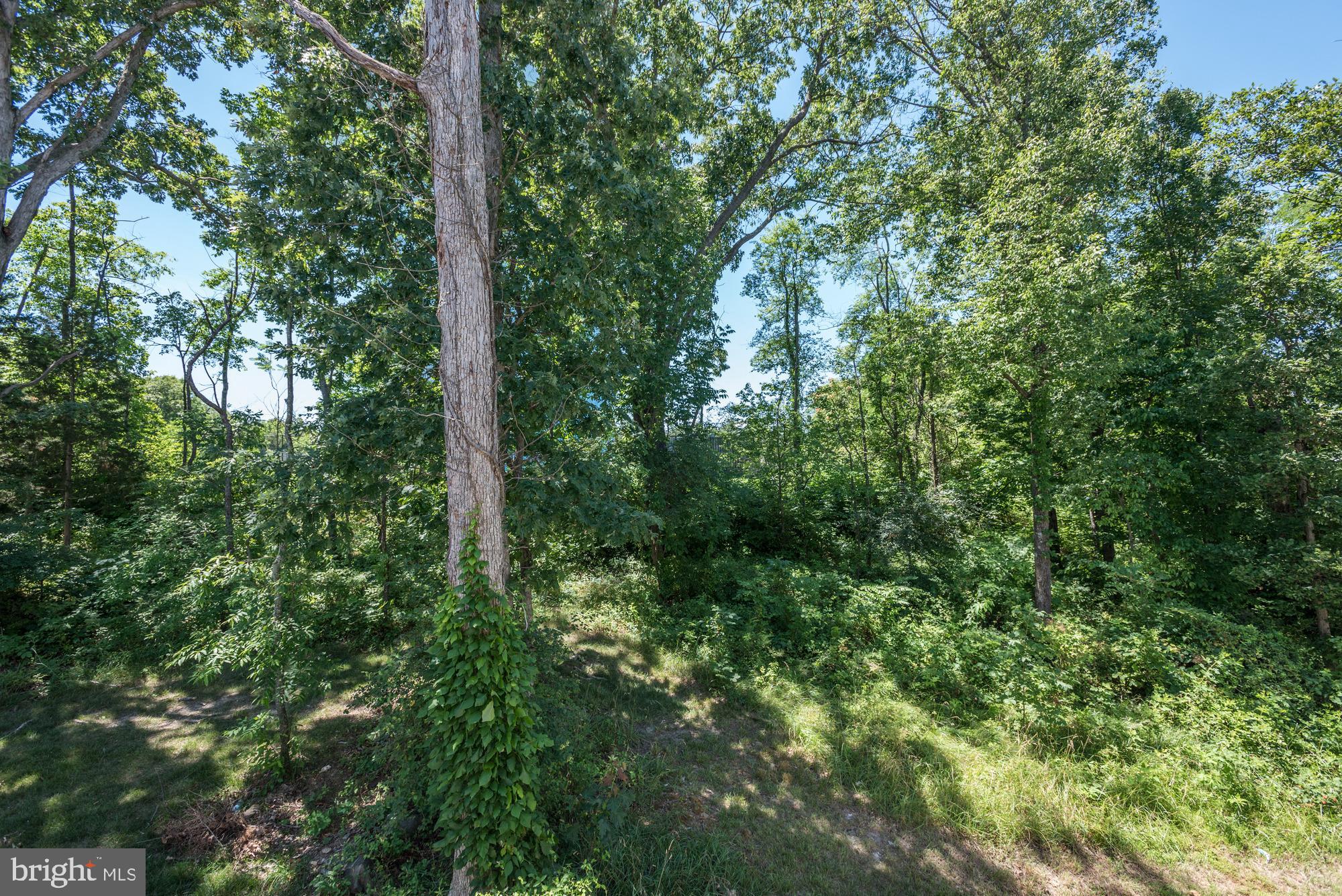 BRAMBLETON - Residential Lease