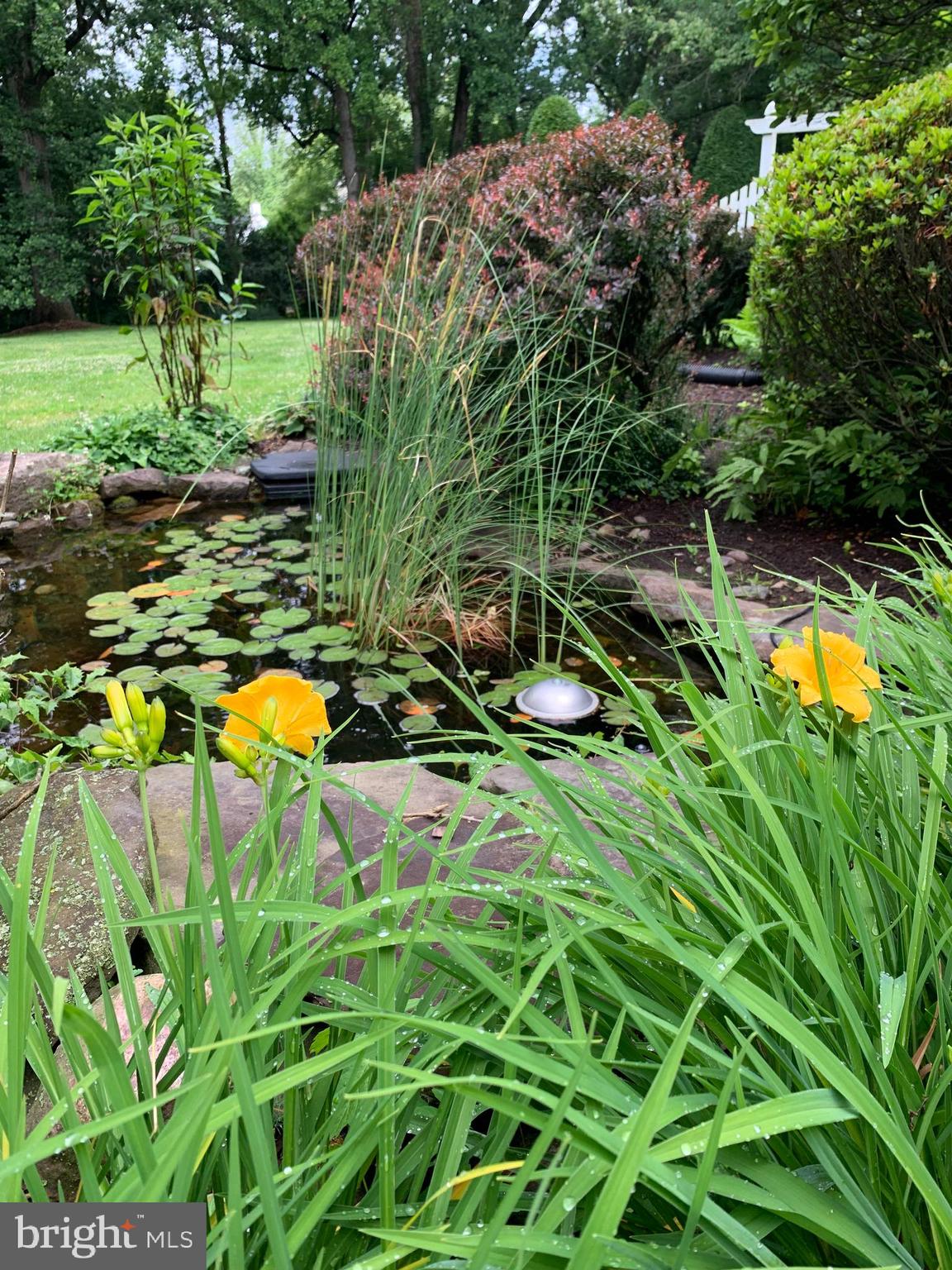 BALLS HILL - Residential