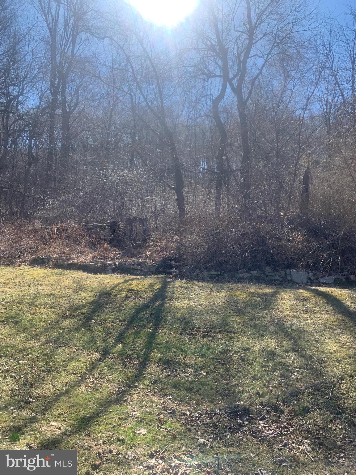 MOUNT PENN HEIGHTS - Residential