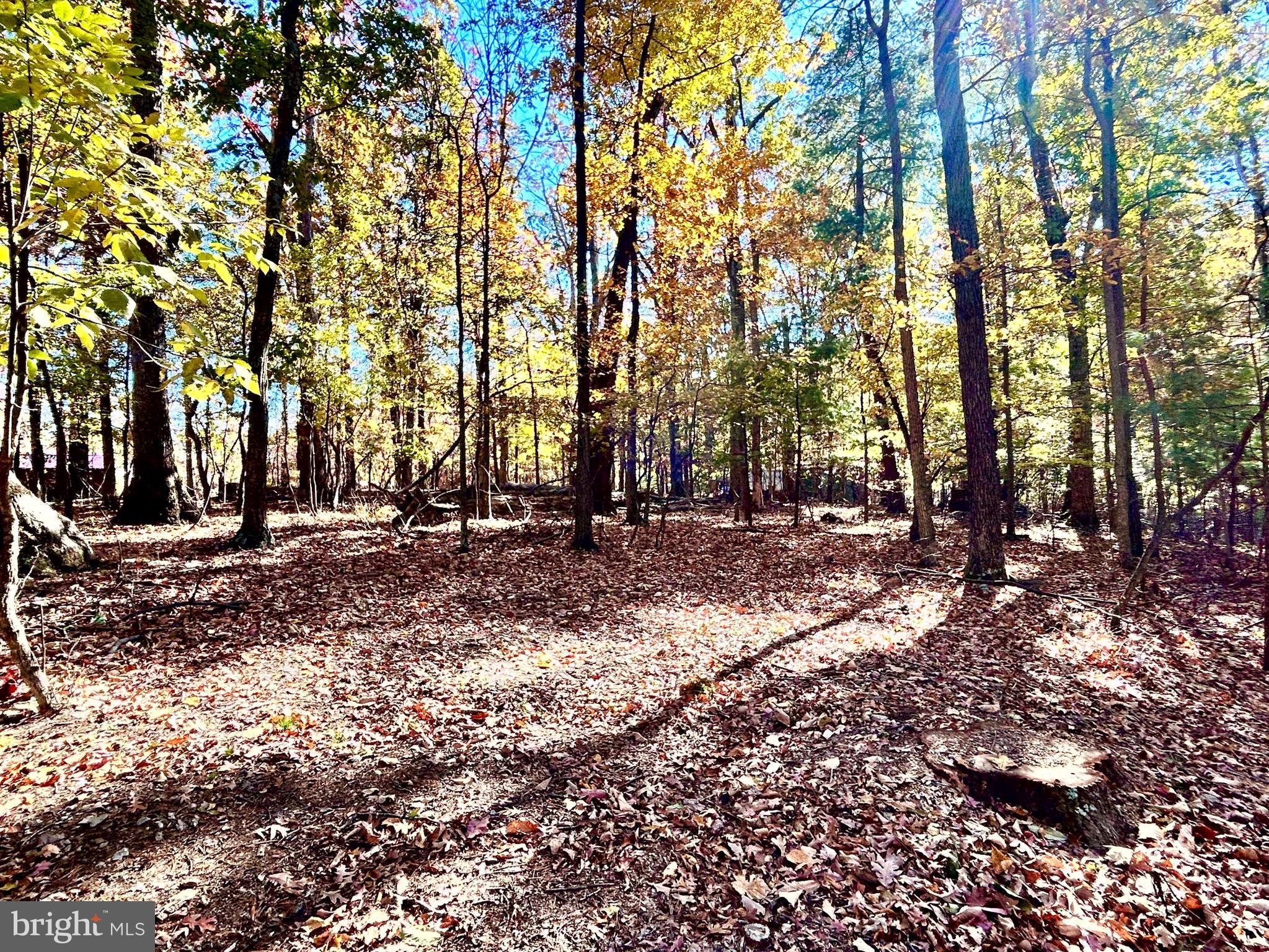 SLEEPY HOLLOW - Residential