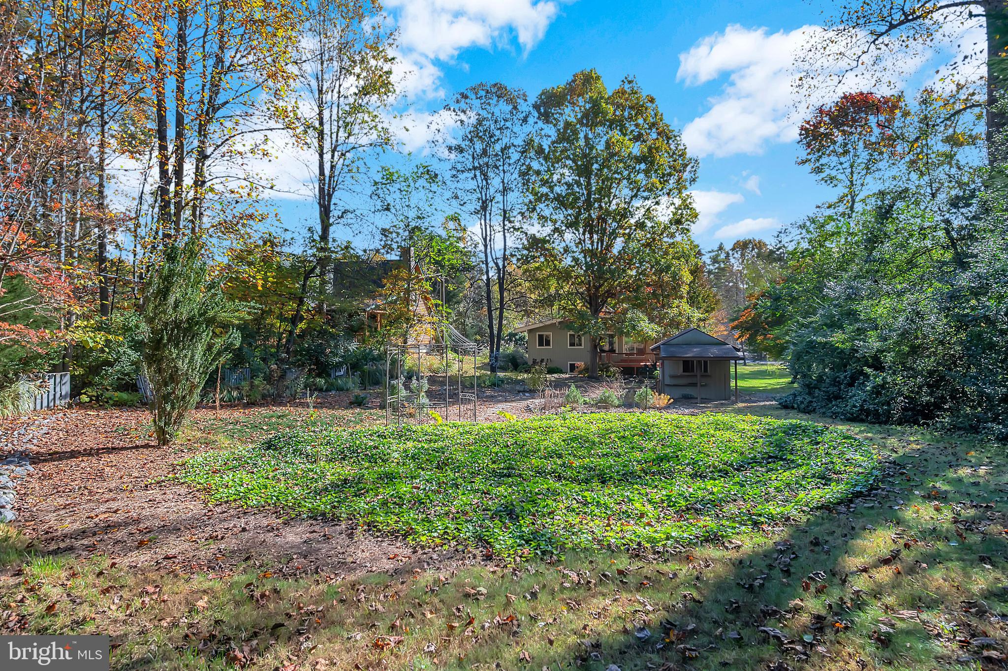 LAKE OF THE WOODS - Residential