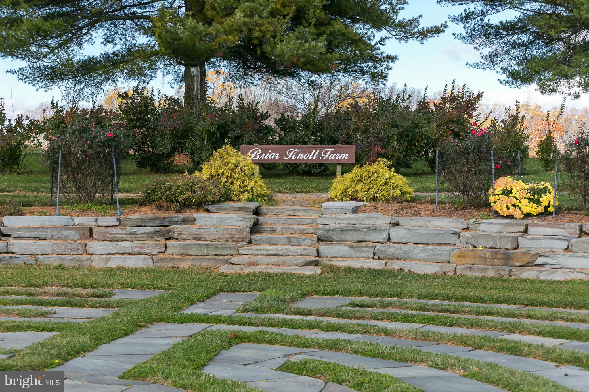 BRIAR KNOLL - Land