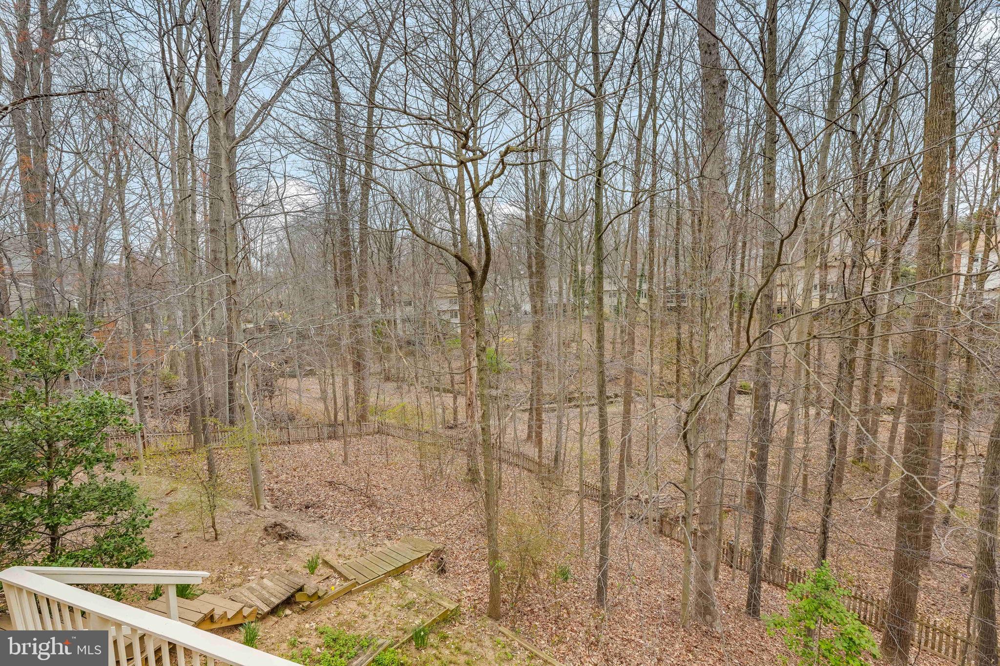 THE PALISADES - Residential