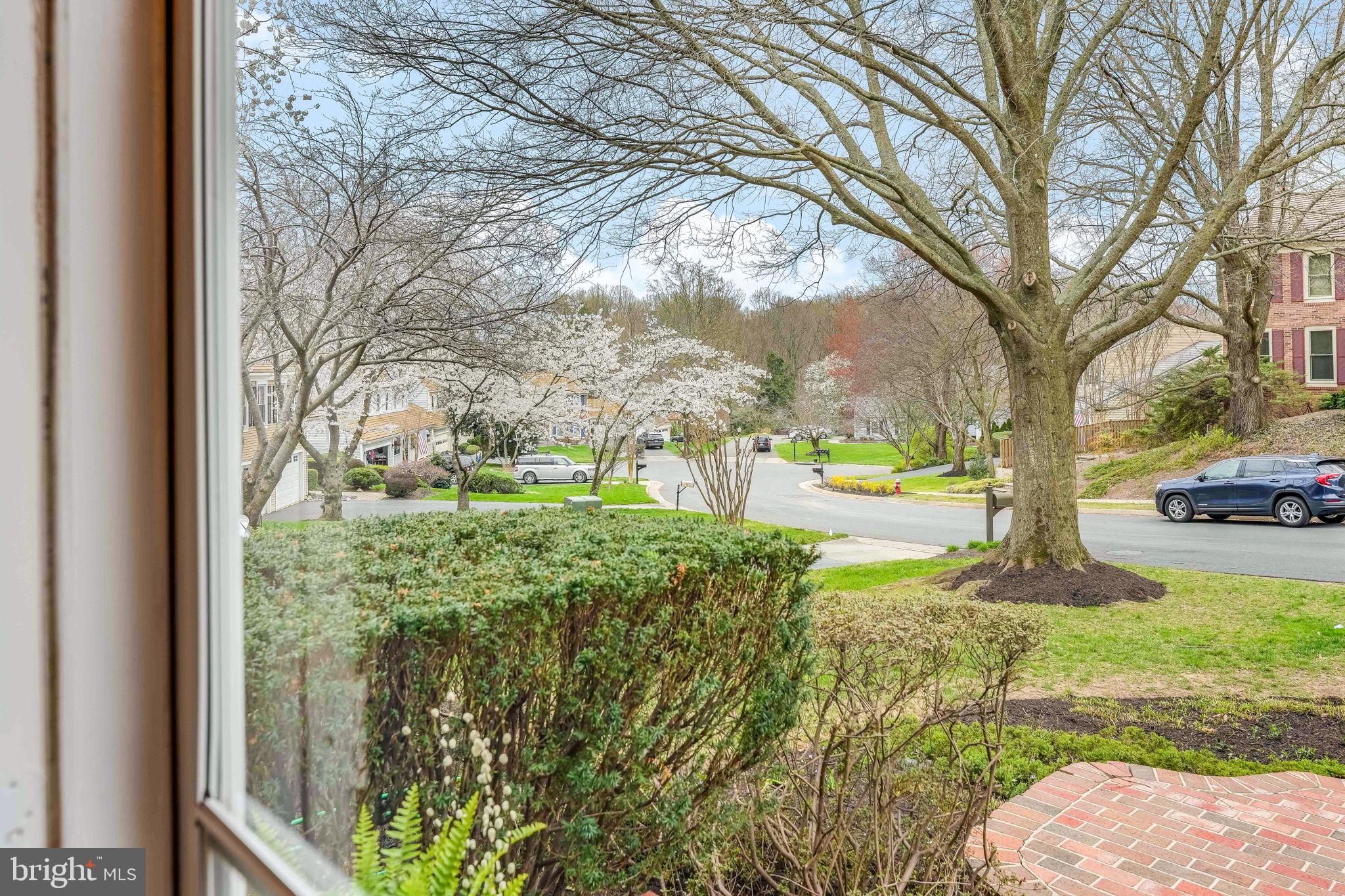 THE PALISADES - Residential