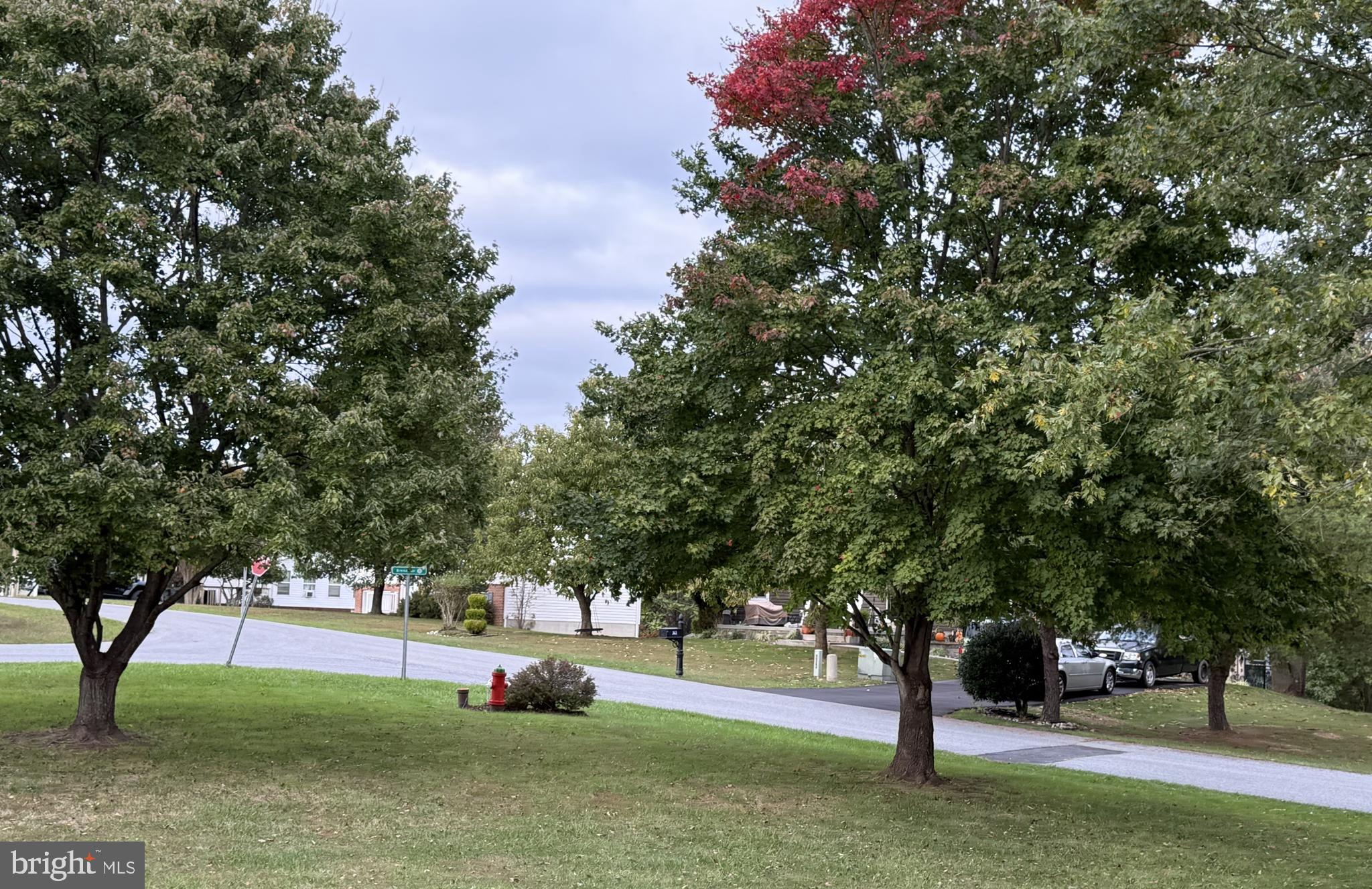 MOUNTAIN VIEW ESTATES - Residential