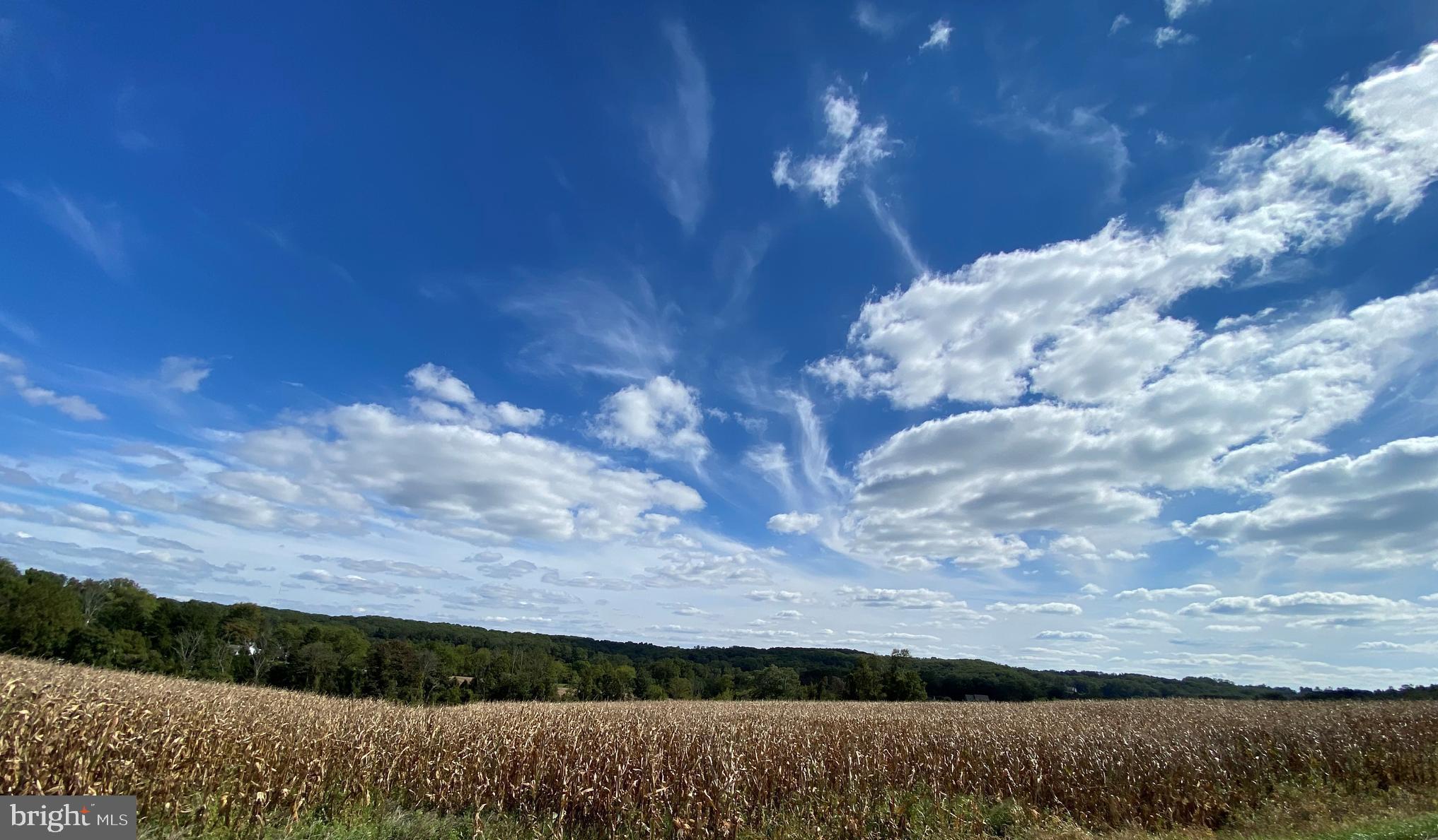 MISTY HOLLOW - Residential