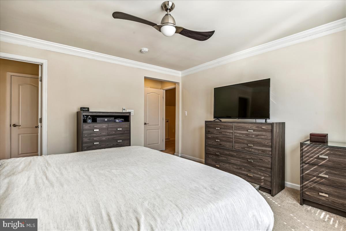 GROVETON WOODS - Residential