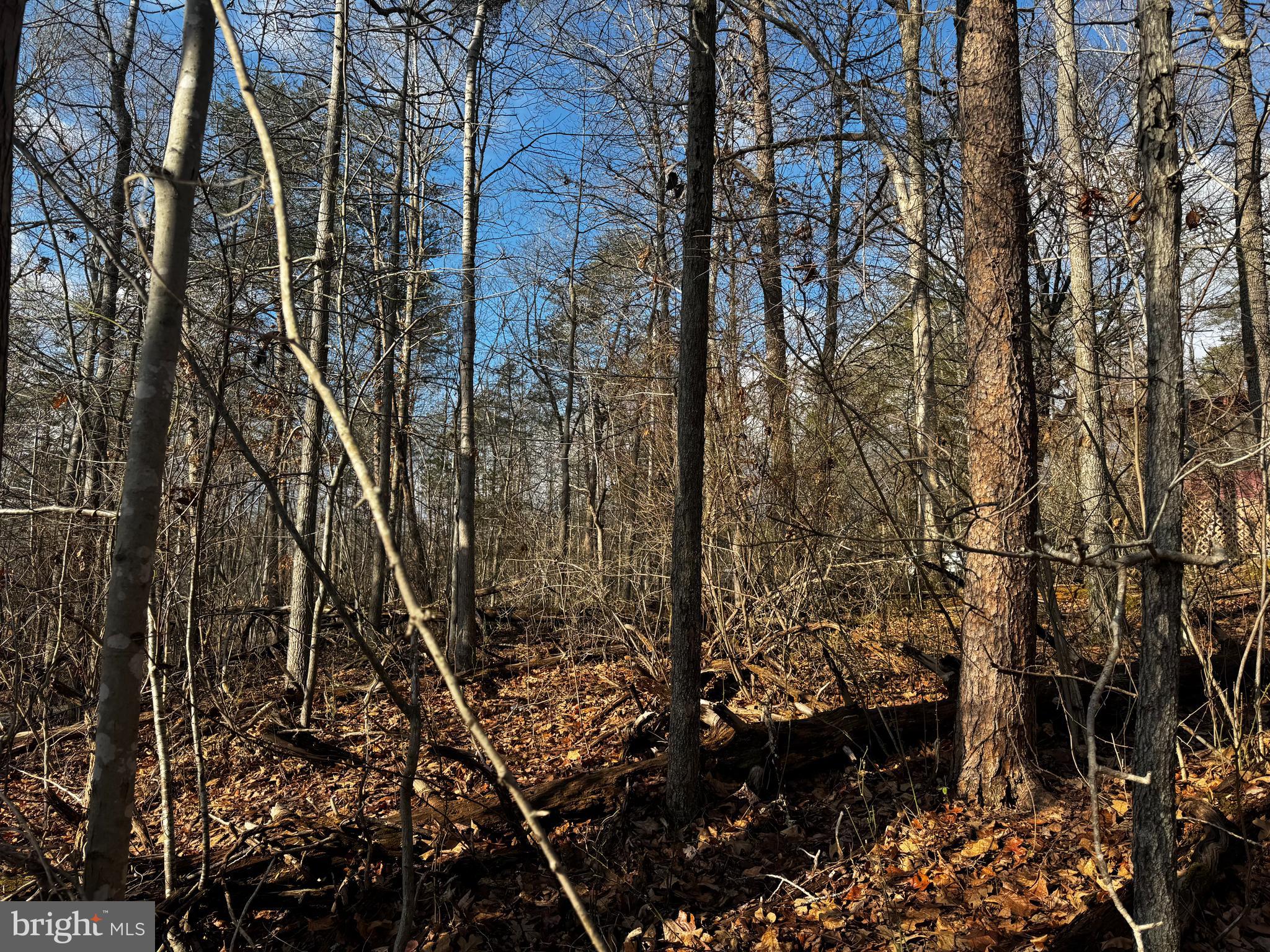 0 RAPPAHANNOCK DRIVE