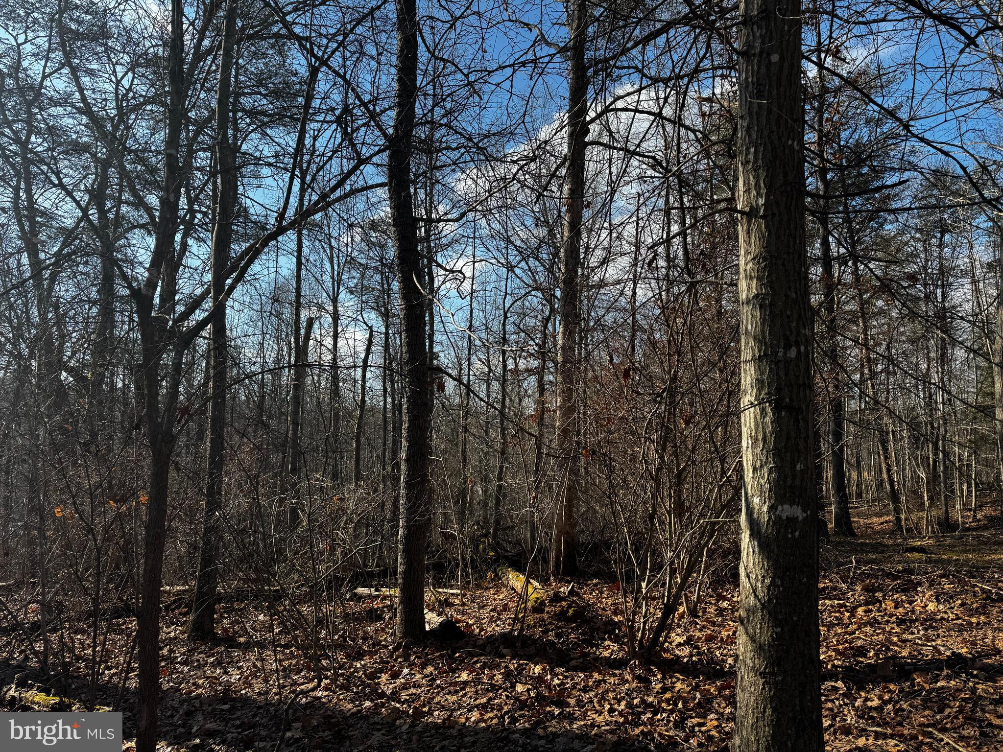 0 RAPPAHANNOCK DRIVE