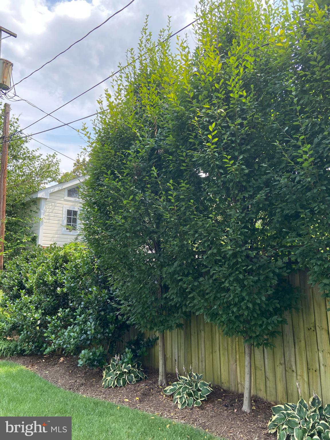 JEFFERSON PARK - Residential