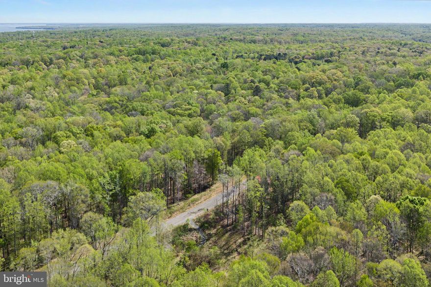Discover a rare opportunity to own a breathtaking slice of the Potomac River with this spacious 10+ acre lot now available in the serene and sought-after community of Potomac Landing. Here, life unfolds at a gentler pace, where open skies and the quiet rhythm of nature create a true sense of escape, without sacrificing connection or convenience.

Imagine mornings spent sipping coffee as sunlight filters through the woods, afternoons exploring your private acreage, and evenings cruising by golf cart to local favorites like Tim's II at Fairview Beach or Rick's on the River for waterfront dining and unforgettable sunsets. Adventure is always within reach, whether canoeing along peaceful waters, kayaking at your leisure, or casting a line into the private pond.

With deeded access to the Potomac, your days on the water are effortless. Launch your boat, drop anchor along the community beaches, and let the current carry your cares away. Whether you’re dreaming of a weekend retreat or a forever home, this is a place where memories are made.

Flexible building options make it easy to bring your vision to life. Build now or later, choose from thoughtfully designed floor plans, or craft something entirely your own. Builders are on-site and ready when you are, with select homesites available for immediate construction, complete with approved 4-bedroom conventional drain fields.

Tucked away in nature yet conveniently located near Fredericksburg, major routes including I-95 and Route 17, Potomac Landing offers the perfect balance of tranquility and accessibility. This wooded homesite provide exceptional privacy, natural beauty, and a lifestyle that feels worlds away. yet close to everything you need.

Come experience the land, the lifestyle, and the possibilities waiting for you at Potomac Landing.