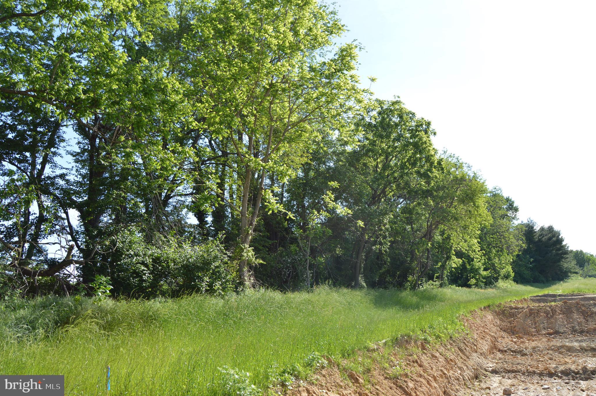 COPPERLEAF RIDGE - Residential