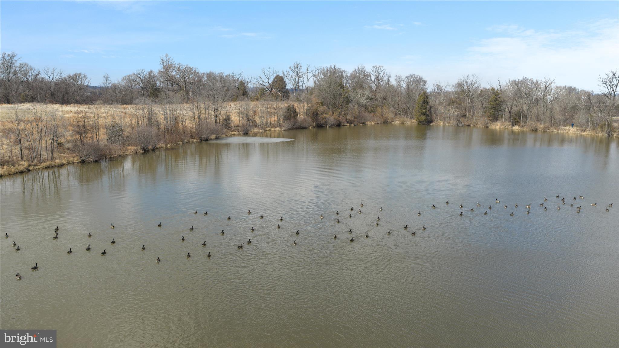 TANAGER - Residential