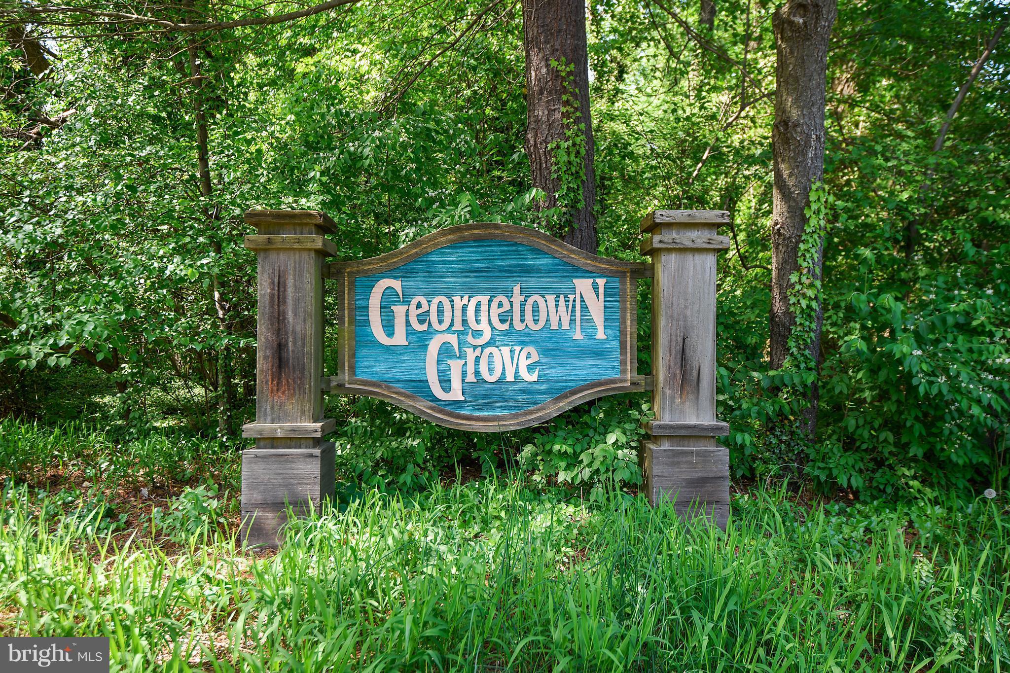 GEORGETOWN GROVE - Residential