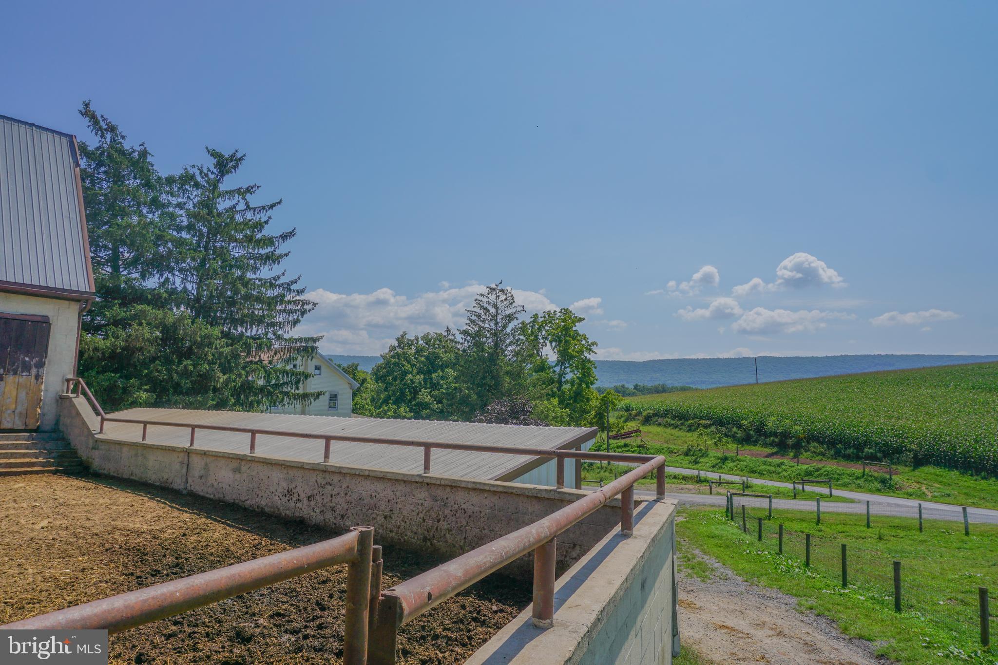 NONE AVAILABLE - Farm