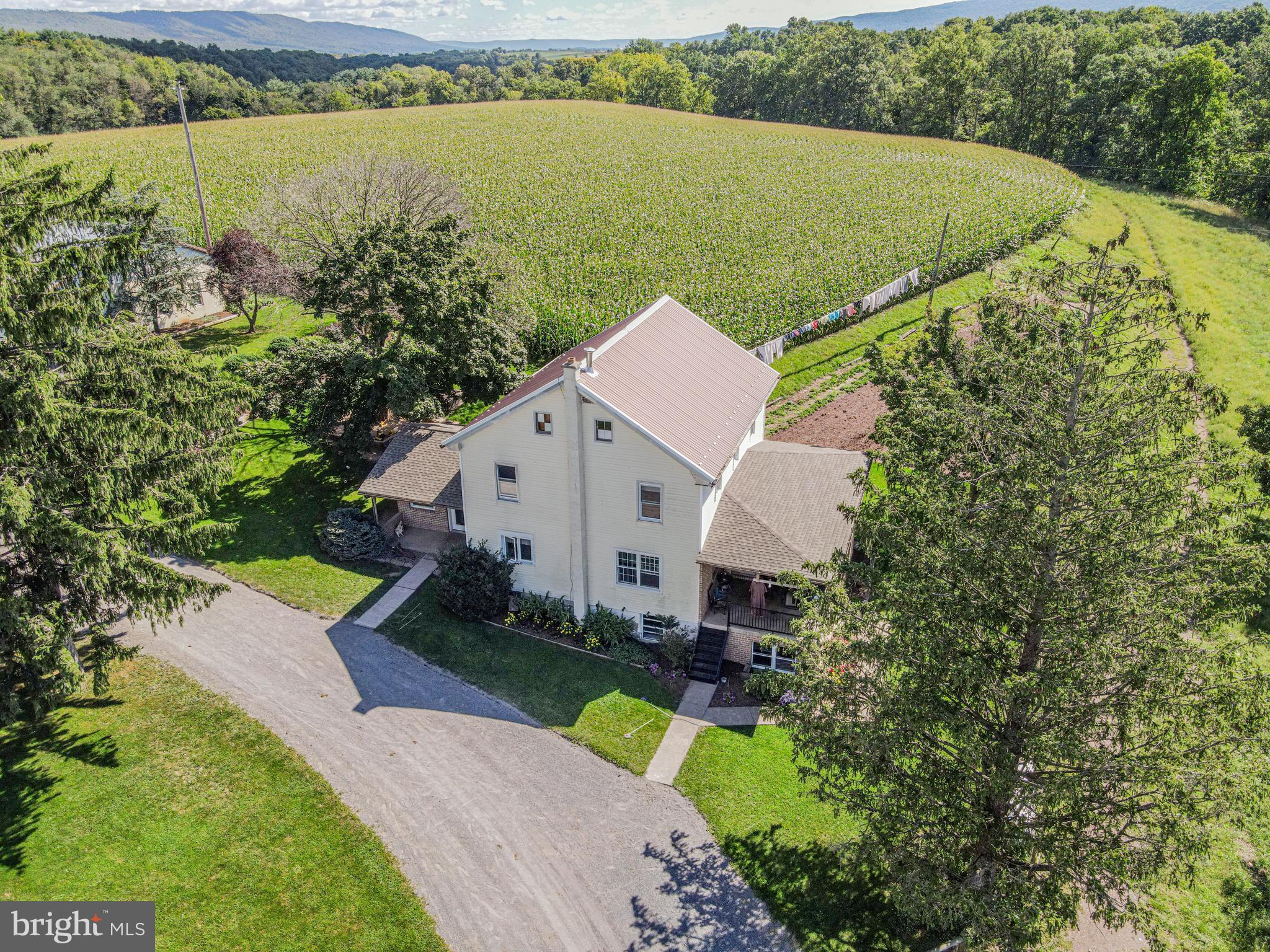 NONE AVAILABLE - Farm