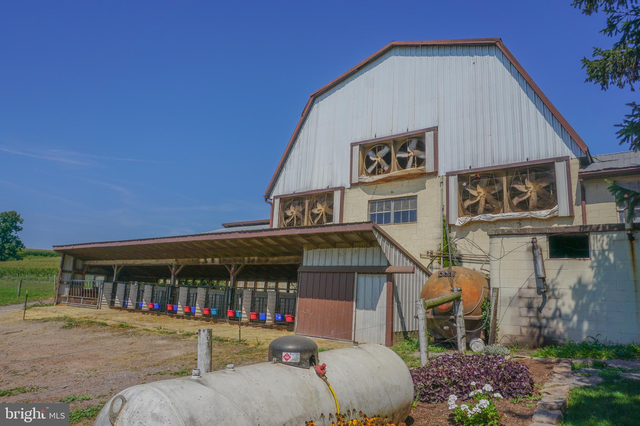 NONE AVAILABLE - Farm