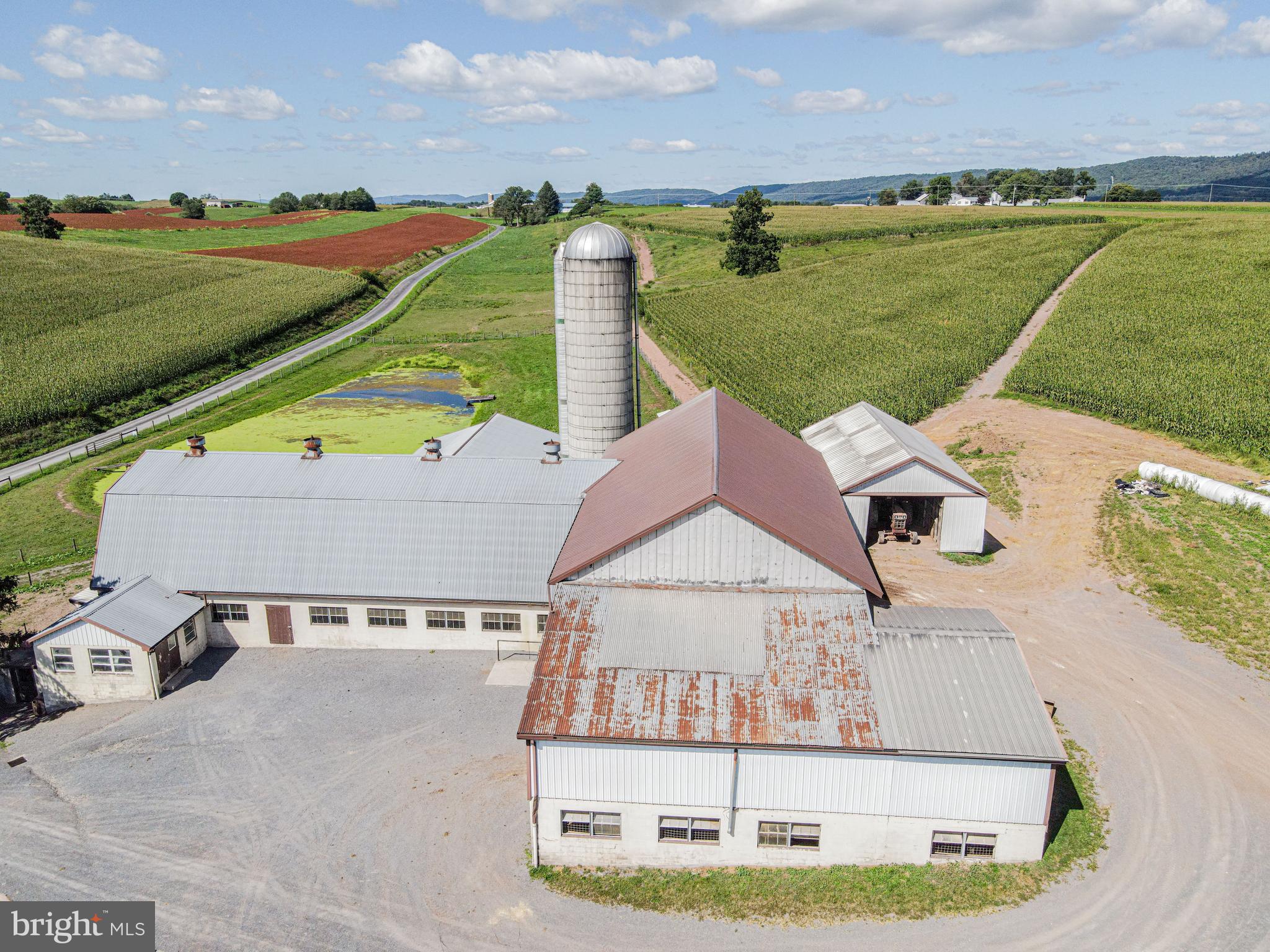 NONE AVAILABLE - Farm