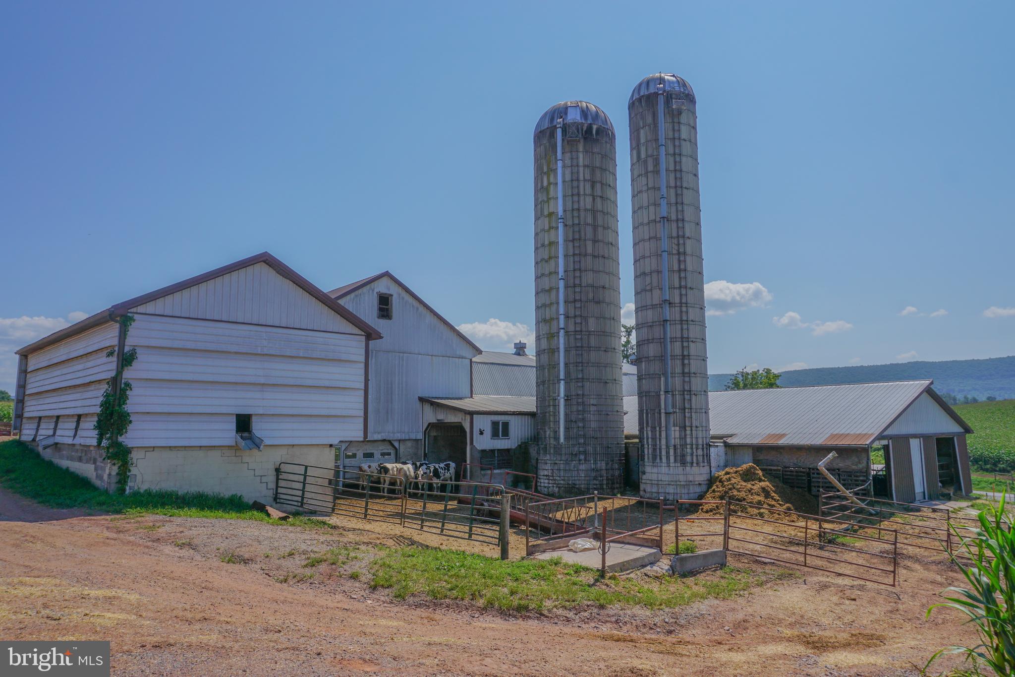 NONE AVAILABLE - Farm